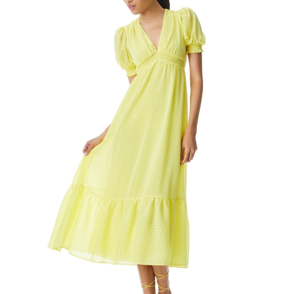NWT Alice + Olivia Midi Dress Size 10